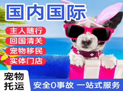 抚远东极航空邮寄国际宠物托运 【国